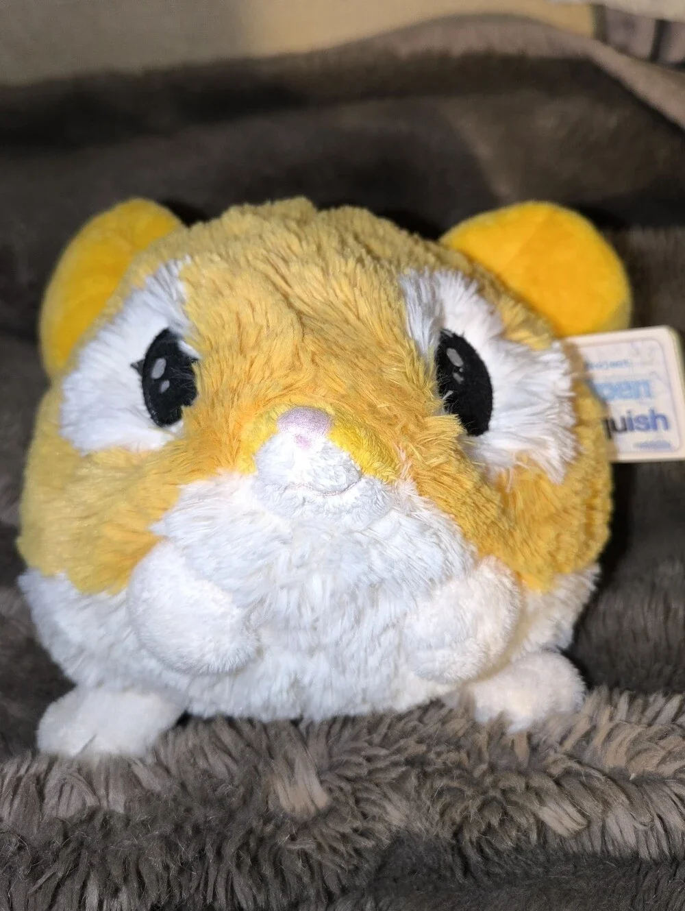 Squishables Kangaroo Mouse Open Squish Project Mini Size New With Tags